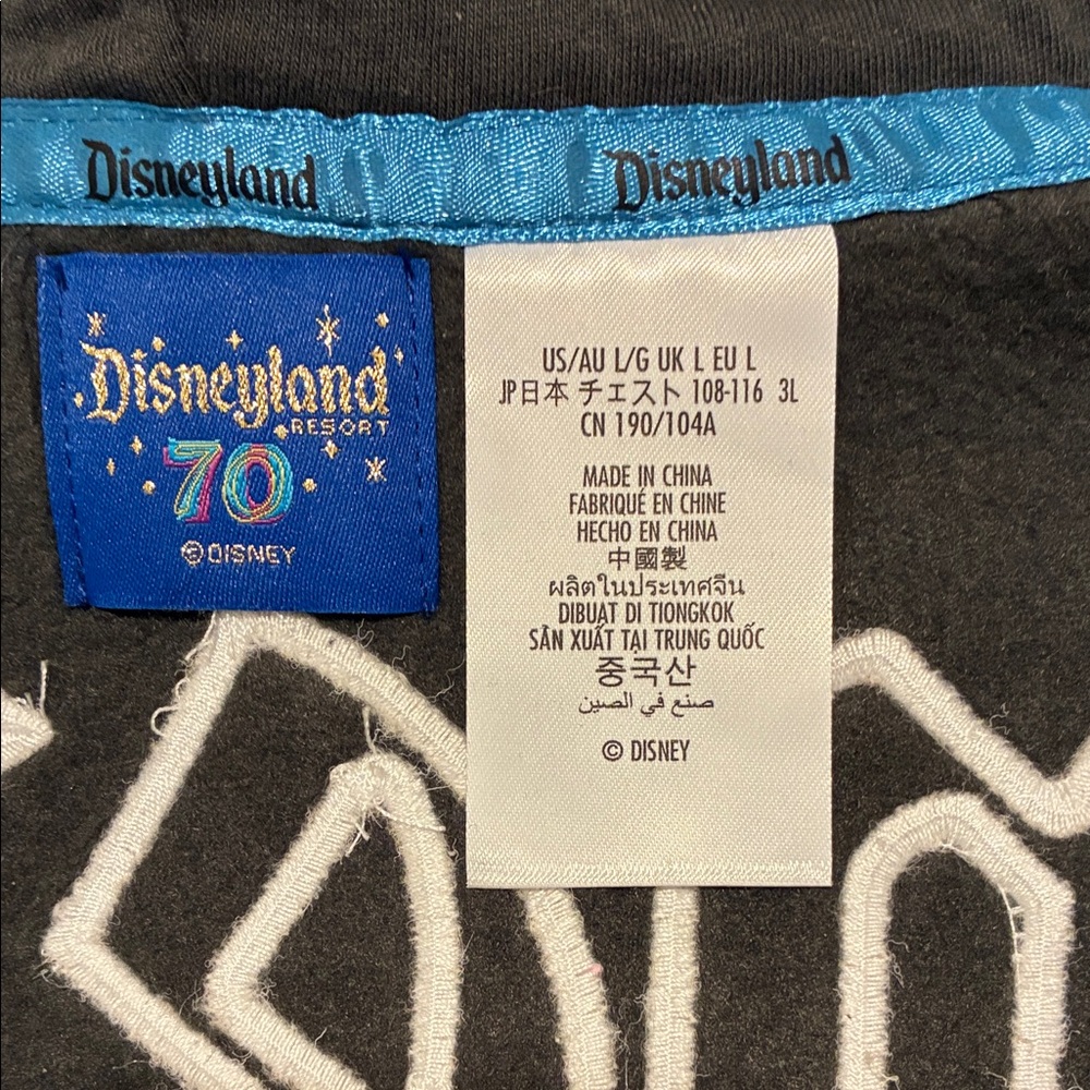 Disney 70th Anniversary Hoodie - Picture 8 of 9